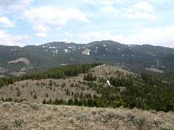 North Anomaly