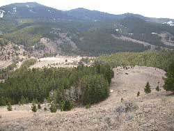 North Anomaly